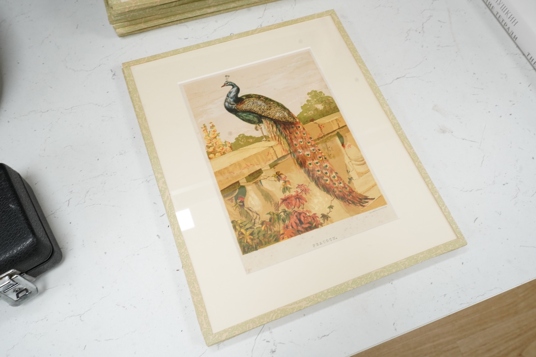 After Harrison William Weir RI (1824-1906), studies of birds to include ‘Guinea fowl’, ‘White Cochin Cock’ and ‘Peacock’, a set of thirteen coloured prints, published by Leighton Brothers, 21 x 16cm